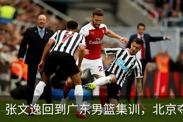 张文逸回到广东男篮集训，北京夺冠功勋确定退役，上海欲续约弗格